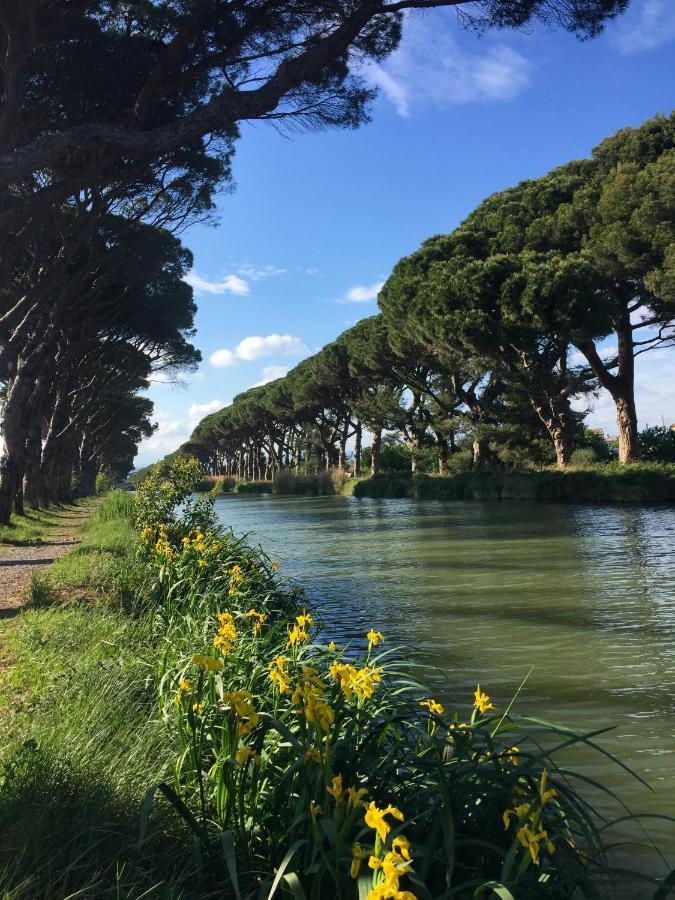 La Passerelle Du Canal Sallèles-dʼAude エクステリア 写真